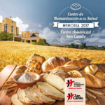 Memoria del Centro San Camilo 2017